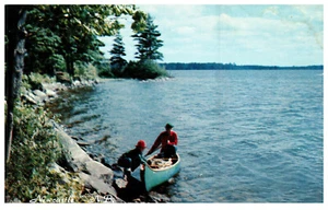 People Canoe Water Landscape Newcastle New Brunswick Vintage Chrome Postcard - Picture 1 of 3