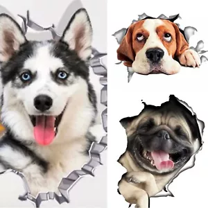 3D Hunde Großer Wandaufkleber DOG Wandtattoo Big Wandsticker Aufkleber Sticker - Bild 1 von 10