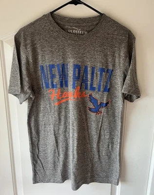 SUNY Nueva Camiseta Gris Coliseo Paltz Logo Spellout - Talla Mediana Oficial Foto 1 de 4