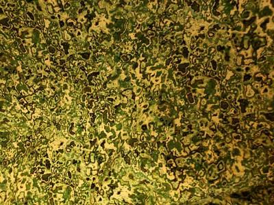 Cotton Fabric 42" x 2.25 yds Green Brian Evans Cranston Quilting Treasures - Image 1 of 4