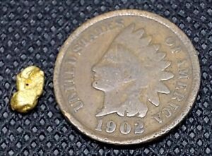 Alaskan Gold Nugget + 1902 Indian Head Penny Precious Metal Bullion In Display 