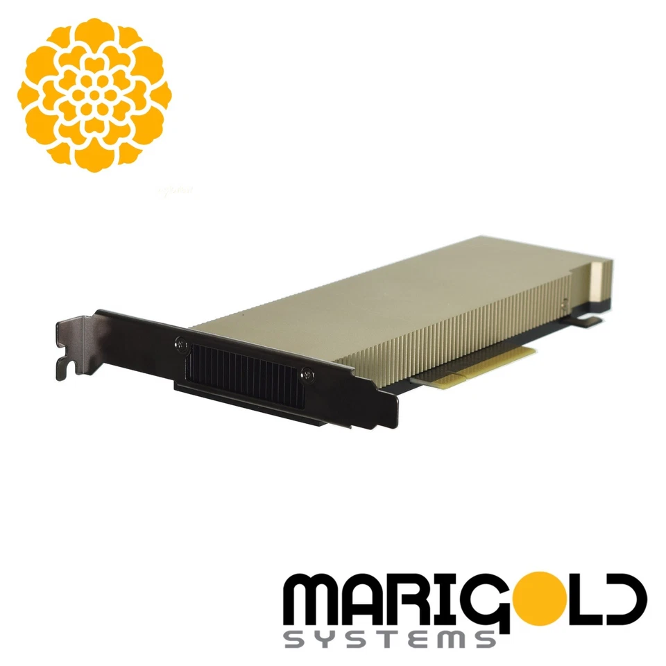 Dell NVIDIA A2 v2 GPU 16GB GDDR6 60W PCIe Gen4 x8 32GB/s MG5JX 0MG5JX - Image 1 of 1