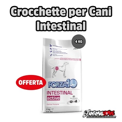 Crocchette per Cani Forza 10 Active Intestinal 4KG - Immagine 1 di 2