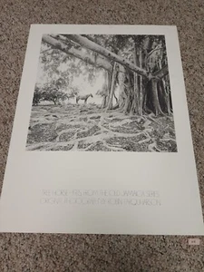 Kunstdruck Baum Pferd alte Jamacia Serie von Robin Farquharson 1975 - Bild 1 von 7