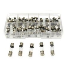 Robust 100pcs FastBlow Acting Glass Fuses for Household Appliances and Gadgets