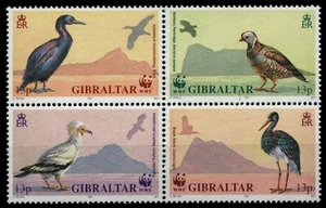 Gibraltar 1991 - Mi-Nr. 619-622 ** - MNH - Pájaros / Pájaros - Imagen 1 de 1