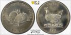 1981 Tonga 5 Seniti Hen and Chicks Coconut Fao - Pcgs Ms 66