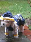 Dogs rain jacket windscreen L Rl. 38-45 cm circumference up to 55 cm western, Pekingese, pug