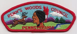 CSP - PENN'S WOODS COUNCIL - S-1 - FUSA NEL 2011 - PRIMA EMISSIONE CSP - Foto 1 di 1
