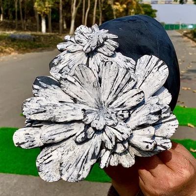 11.39LB Natural chrysanthemum stone quartz carving aura healing gift - Image 1 of 4