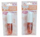 2ct - Make Me Up Plumping Lip Gloss infused with Jojoba Seed Oil, Raging Rose