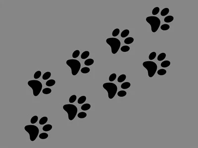 EMPIRE DESIGN DOG PAWS 8 PCS PACK Puppy Animal Print Vinyl Decal Waterproof Car Sticker Cat