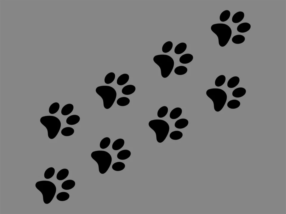 DOG PAWS 8 PCS PACK Puppy Animal Print Vinyl Decal Waterproof Car Sticker Cat - Image 1 of 3