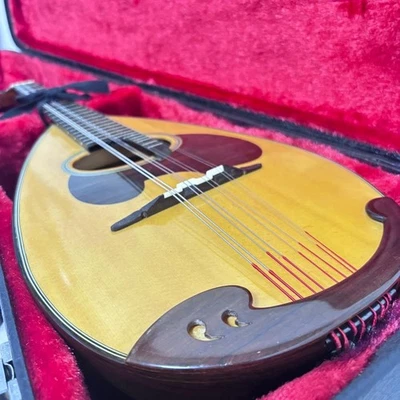 [Good condition] Mandolin M-60 Suzuki SUZUKI - Image 1 of 4