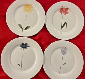 4 PIER 1 Floral 7 1/2 Zoll Teller Neu - Bild 1 von 6