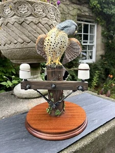 Border Fine Arts 'Kestrel', No. B0869 by Richard Roberts, 45/350 - Picture 1 of 16