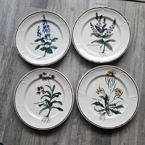 Platos Italia Botánico Floral 9.5" Borde Marrón. ¡4 patrones! Juego de 4 - Imagen 1 de 6