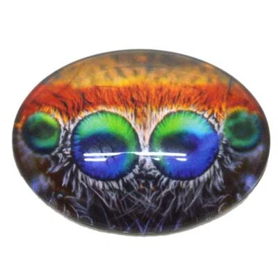 Single Colorful Jumping Spider Eyes Oval Glass Eye Cabochon - Image 1 of 4