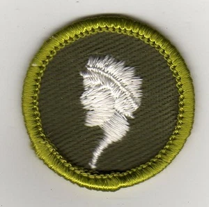 Distintivo al merito della scultura, twill kaki bordo arrotolato tipo F (1961-68), come nuovo! - Foto 1 di 1