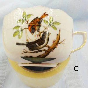 ROTHSCHILD VOGEL von Herend Teetasse Rochaille Form NEU NIE BENUTZT RO - Bild 1 von 5