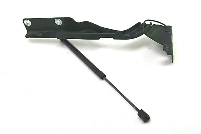 Ford F-150 SuperCrew 2004-2008 bisagra de capó lateral derecho con soporte de capó OEM Foto 1 de 4