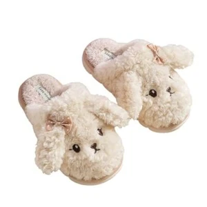Thick Bottom Furry Slippers, Women's Winter Slippers, Autumn & 6.5-7.5 White - Picture 1 of 7