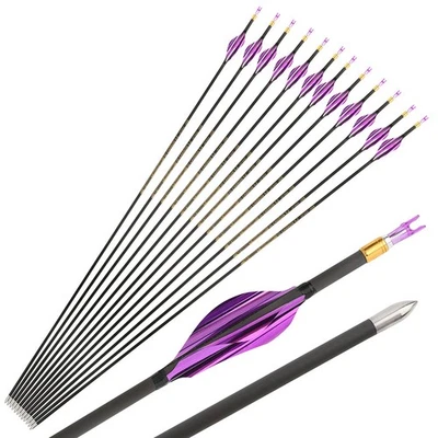 31" Pure Carbon Arrow 700-1000 Spiral Feather Recurve Compound Bow Hunt Target - Image 1 of 4