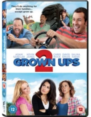 Grown Ups 2 - Region 2 DVD - Image 1 of 1