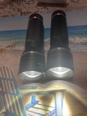 2 Hunting deer fishing Camping Hiking Defiant LED flashlights 650 lumens NEW - Image 1 of 4