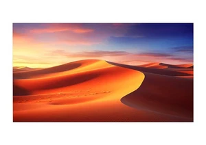 celexon Rahmenleinwand Expert PureWhite 250 x 156 cm (  Rahmen ) - Bild 1 von 4