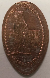 Wilderness Territory Pressed Penny Elongated Souvenir PP4 - Picture 1 of 1
