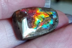 Ammolite Ammonite Coated Stone 22.4x14x6mm 14434 - Picture 1 of 5