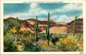 Land Of Enchantment The California Desert Linen Postcard - Picture 1 of 4