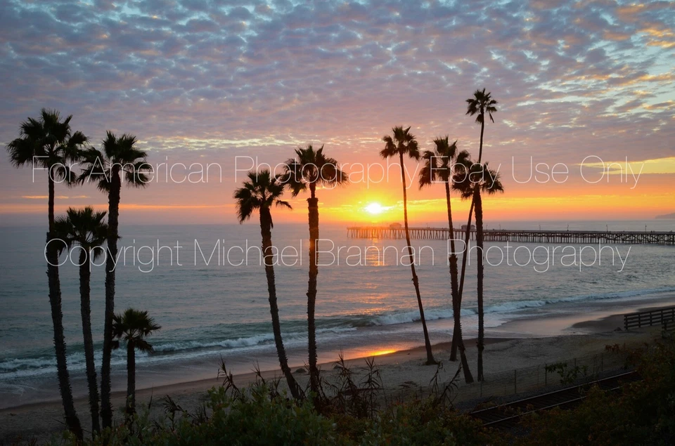 SAN CLEMENTE CALIFORNIA Sunset Pier Beach Palm Trees Ocean Professional Prints - Image 1 of 1