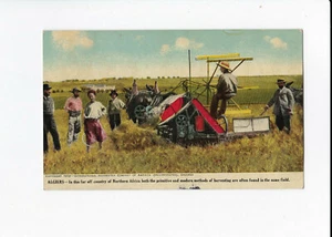 Vintage International Harvester Co Postcard -  Algiers - Horse Drawn Harvester - Picture 1 of 2