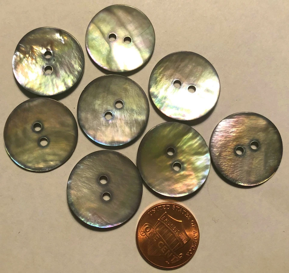 8 Slightly Curved Iridescent Abalone Natural Shell Buttons 7/8" 22.7mm 9688 - Image 1 of 1