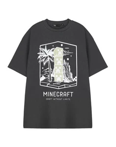 Minecraft Grey Craft Without Limits Short Sleeved T-Shirt Mens - Picture 1 of 9