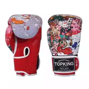 Nagelneue TKB BOXHANDSCHUHE JAPAN KULTUR Echtleder - Bild 1 von 5