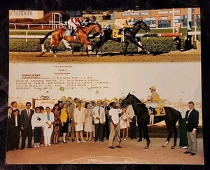 FOTO 8x10 SUNDAY SILENCE HOLLYWOOD PARK PAT VALENZUELA KENTUCKY DERBY VINCITORE - Foto 1 di 7