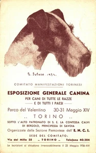 TORINO 1936 - S.SOLARO - Esposizione Generale Canina - NV - #011 - Picture 1 of 2