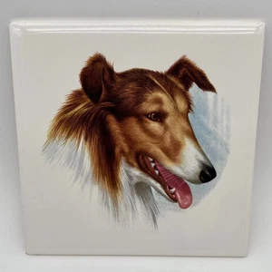Vintage Collie Lassie Hand Decorated Tile Wall Hanging Dog Puppy New York City - Picture 1 of 7