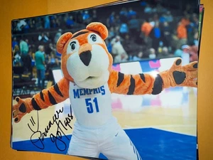 Pouncer Memphis Tigers Maskottchen signiert 8x10 Foto - Bild 1 von 1