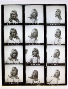 Hoja de Contacto Original Shirley Eaton 1967 Fotos Ocho en el Cordero Película de Comedia - Imagen 1 de 5