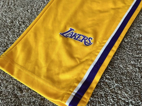 Vintage NBA Authentics Nike Los Angeles Lakers Size L Warm Up Tear Away Pants Cover