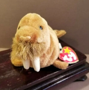 TY Beanie Baby PAUL Walross Retired 1999 PE Pellets Plüsch mit Schaukelanhänger - Bild 1 von 9