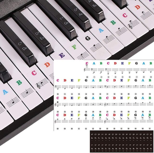 Adesivos De Musica Para Teclado De Piano, Adesivos Coloridos Removíveis  Para 37/ 49/ 61/ 88 Teclas Para Prática De Piano Infantil - AliExpress