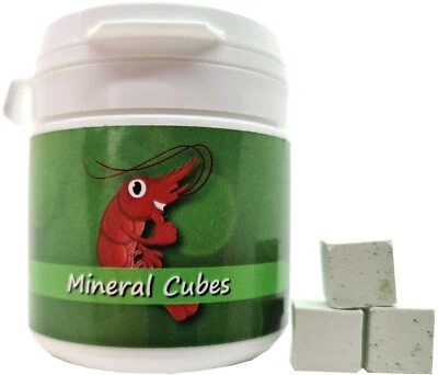 Mineral Cubes "Spirulina Power" / 50ml / Garnelen Aquarium Aufbereiter Schnecken