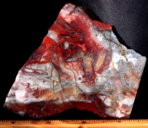 K36 ~ 3,2 Unzen Platte Rosetta Spitze Achat ~ Chihuahua, Mexiko - Bild 1 von 8