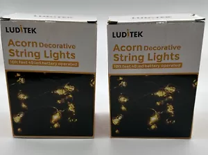 FALL LED String Light Acorn Night Lights Warm Color Silver Wire set of 2 boxes - Picture 1 of 3