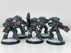 Hellblasters Fully Painted Space Wolves Space Marines Warhammer 40k 1591 - Picture 1 of 9